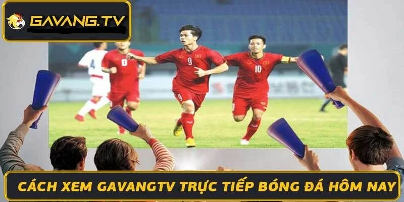 Cách xem kênh gà vàng tv trực tiếp bóng đá