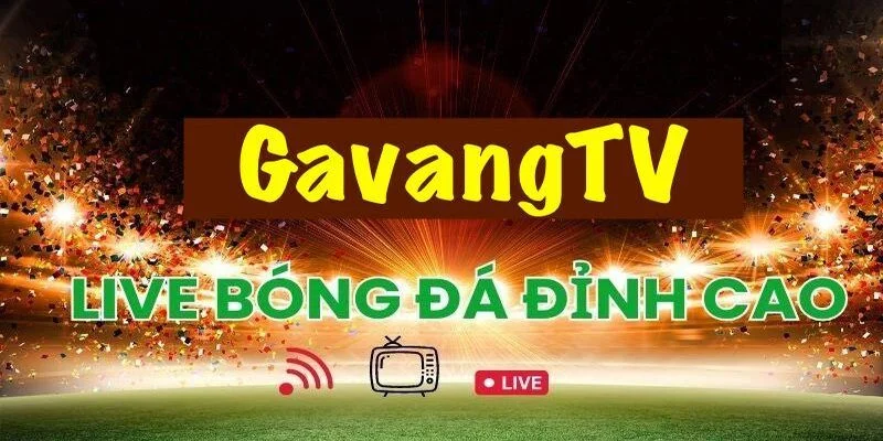 gà vàng tv