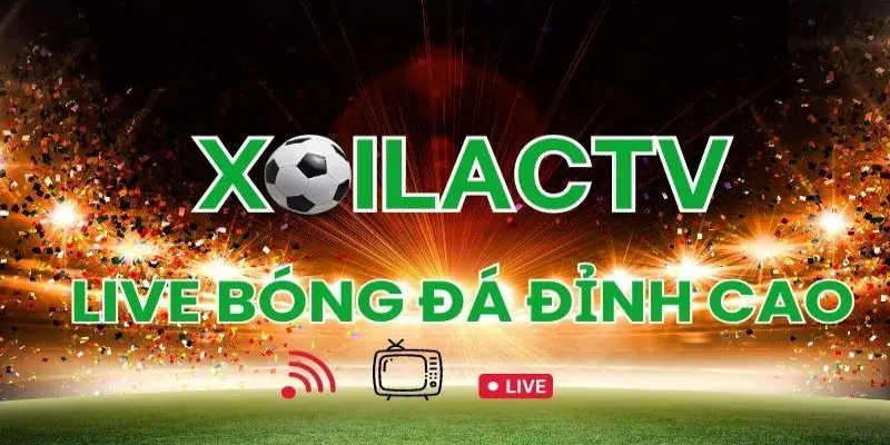 Lý do khiến xoilactv.soccer được yêu thích