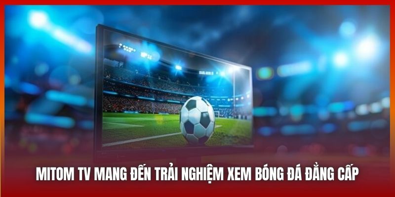 Mitom TV mang đến trải nghiệm xem bóng đá đẳng cấp